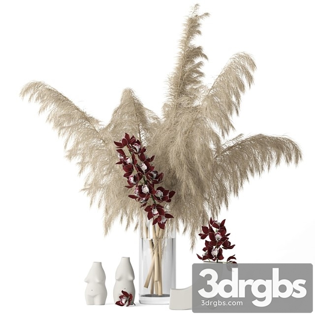 Decorative set Pampas grass and cymbidium 3dsmax Download - thumbnail 1