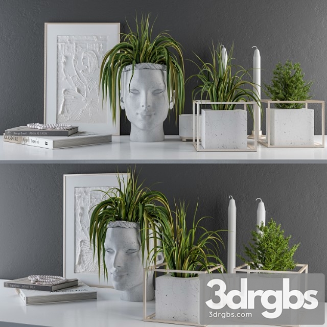 Decorative set sculpt pot and plants 3dsmax Download - thumbnail 1