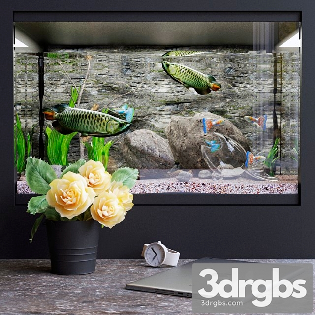 Decorative set with aquarium 3dsmax Download - thumbnail 1