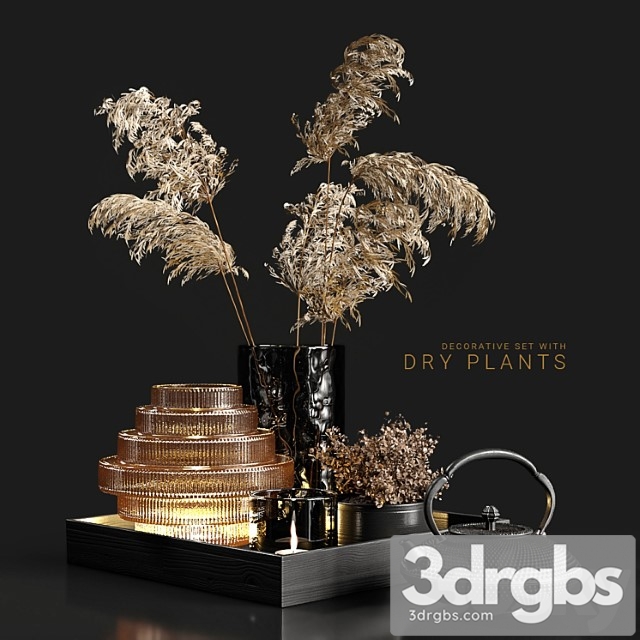 Decorative set with dry plants 3 3dsmax Download - thumbnail 1