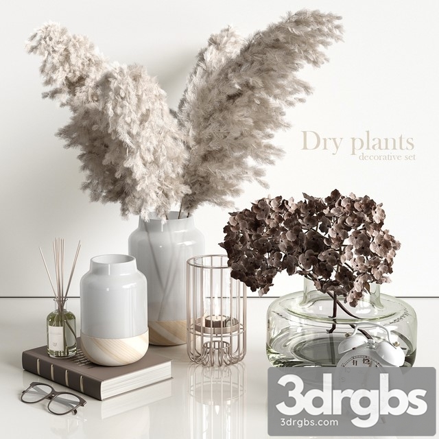 Decorative Set with Dry Plants 3dsmax Download - thumbnail 1