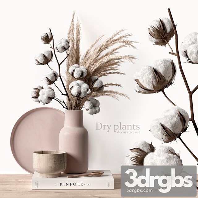 Decorative set with dry plants 5 3dsmax Download - thumbnail 1