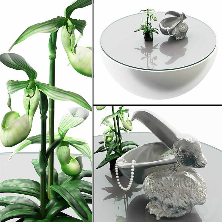 Pelican and orchids 3DS Max Model - thumbnail 1