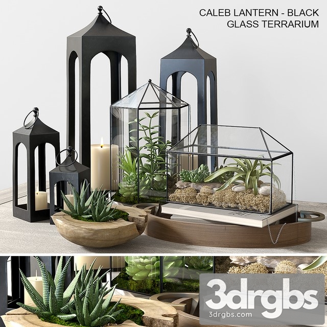 Pottery Barn Glass Terrarium 3dsmax Download - thumbnail 1