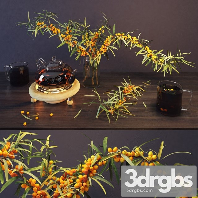 Sea Buckthorn and Kettle 3dsmax Download - thumbnail 1