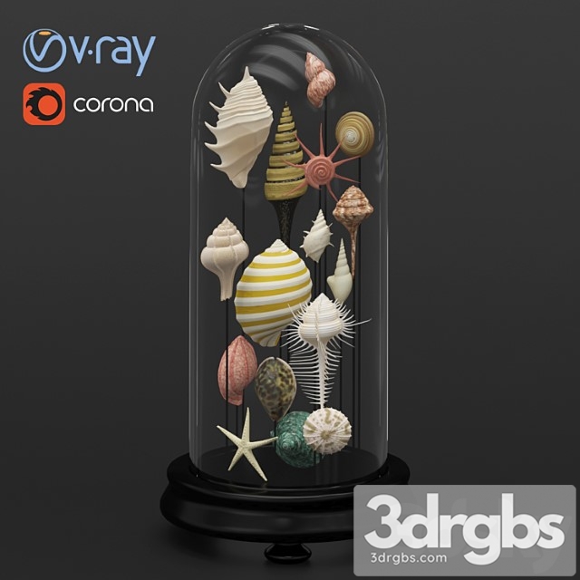 Seashell Decorative 1 3dsmax Download - thumbnail 1