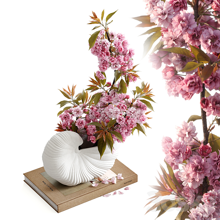 Shell Pot with Sakura Ferm Living 3DS Max Model - thumbnail 1