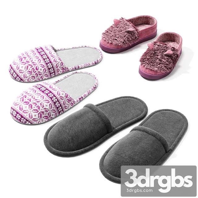 A set of slippers 3dsmax Download - thumbnail 1