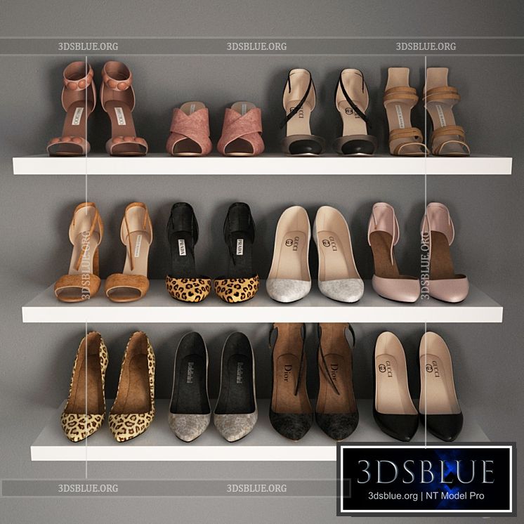 A set of women's shoes I Women shoes _02 3DS Max - thumbnail 3