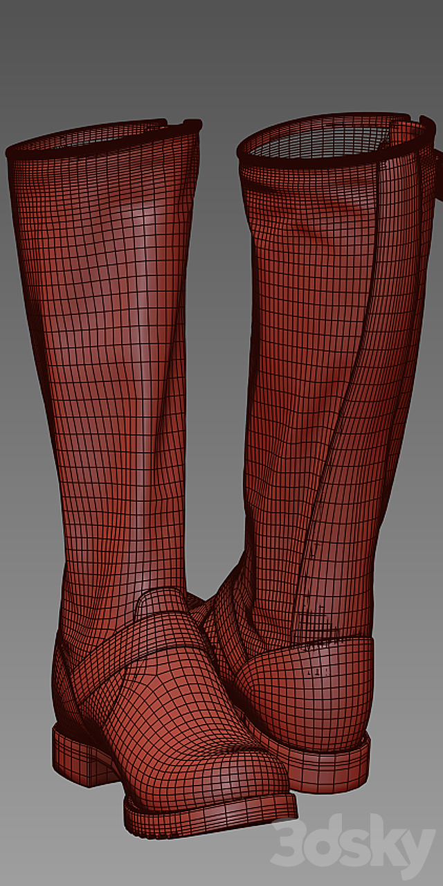 Frye Veronica Slouch. Womens Boots 3DSMax File - thumbnail 3