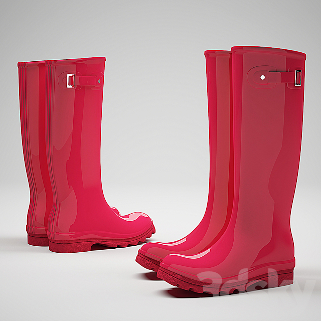 Rubber boots 3DSMax File - thumbnail 2