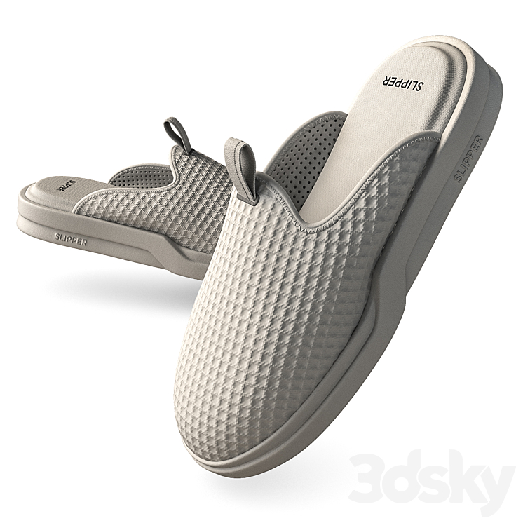 Slippers 3DS Max Model - thumbnail 1