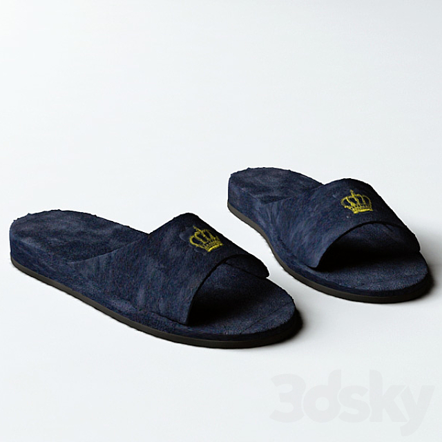 Slippers 3DSMax File - thumbnail 1