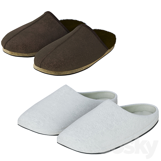 Slippers set 3DSMax File - thumbnail 2