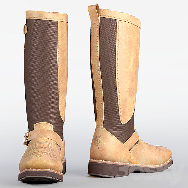 WOMEN’S 15 “TAN RODEO SNAKE BOOTS 3DSMax File - thumbnail 2