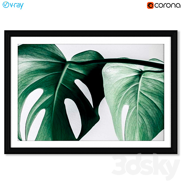 A series of posters with a Monster plant (Monstera) 3ds Max - thumbnail 3