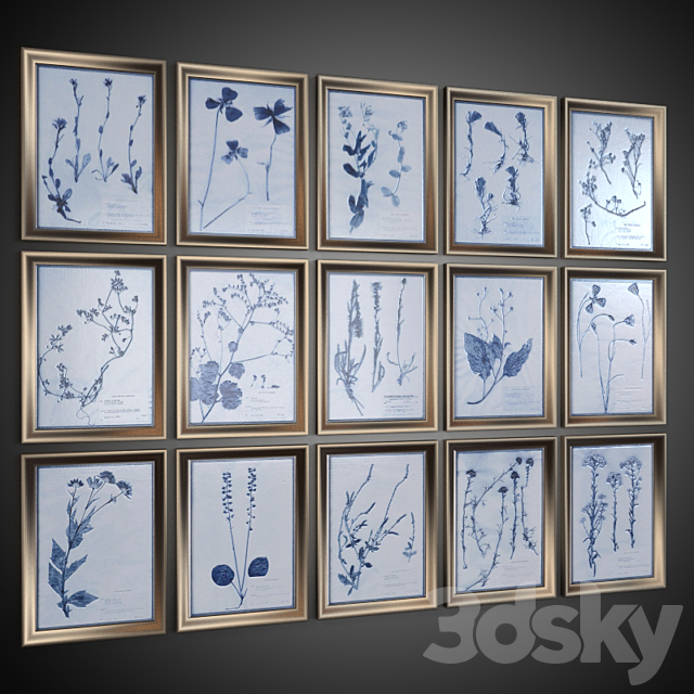 A set of pictures “Dried Flowers” 3DS Max Model - thumbnail 2