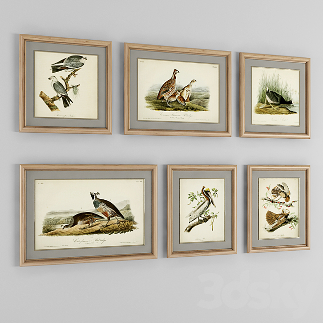 A set of posters. Birds 2 3ds Max - thumbnail 1