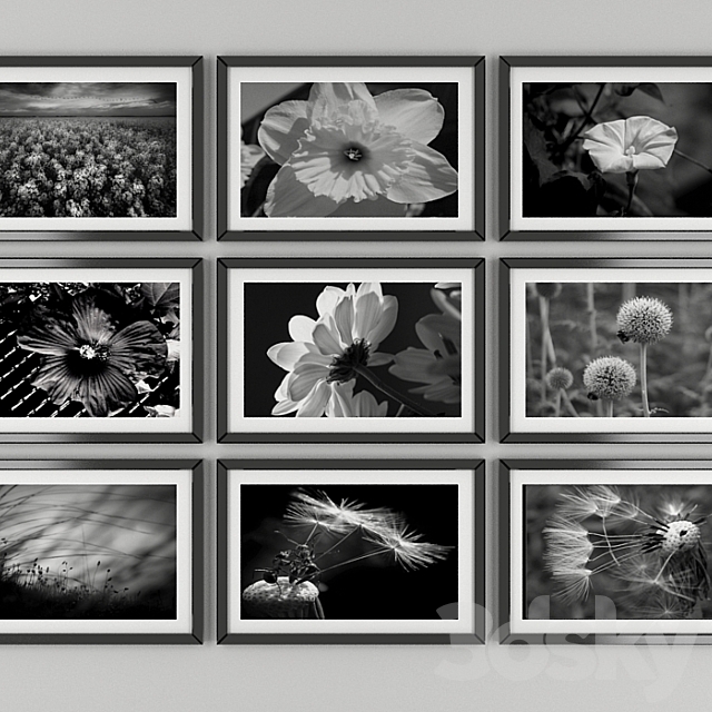 Black and white pictures of flowers 3ds Max - thumbnail 1