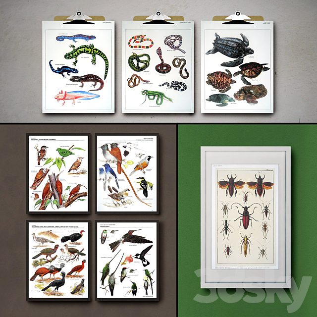 Botanical Vintage Book Pages. 24 Prints (set 3) 3DS Max Model - thumbnail 2