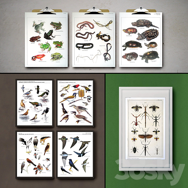 Botanical Vintage Book Pages. 24 Prints (set 3) 3DS Max Model - thumbnail 3