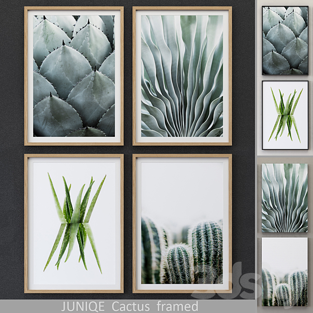 Cactus framed 3ds Max - thumbnail 1