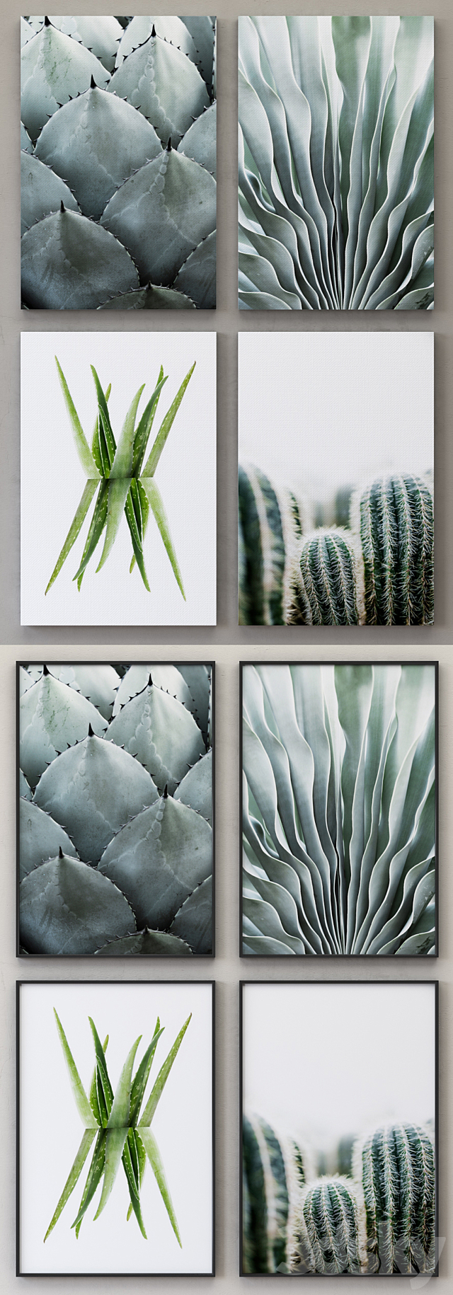 Cactus framed 3ds Max - thumbnail 2