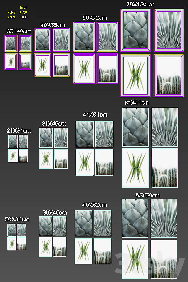 Cactus framed 3ds Max - thumbnail 3