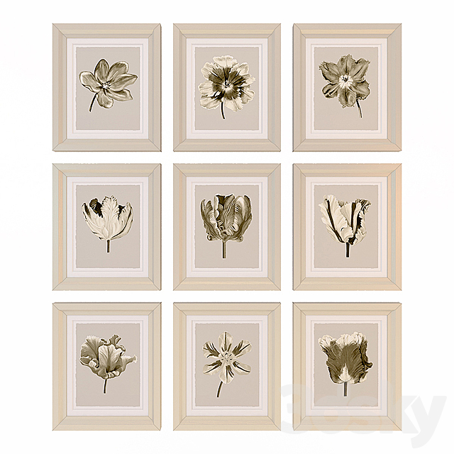 Charlotte Morgan Watercolour Tulips Sepia Nine Piece 3DSMax File - thumbnail 1