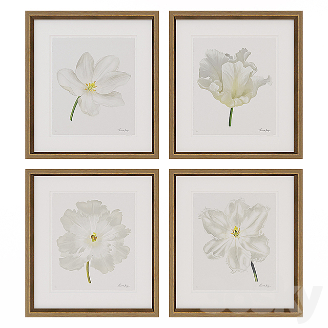 Charlotte Morgan White Watercolour Tulips 3DSMax File - thumbnail 1