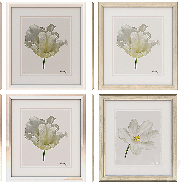 Charlotte Morgan White Watercolour Tulips 3DSMax File - thumbnail 2