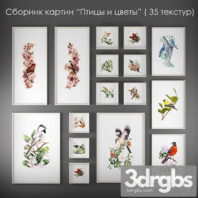 Collection of Paintings Birds and Flowers 3dsmax Download - thumbnail 1