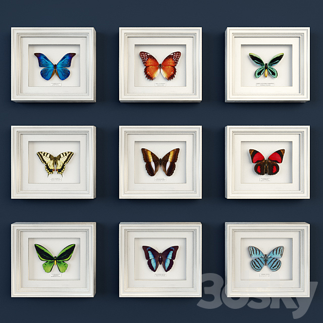 Decorative set of butterflies 3DSMax File - thumbnail 1