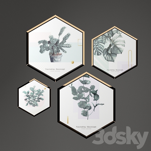 Hexagonal picture frames 3DSMax File - thumbnail 3