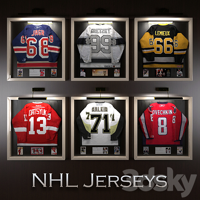 Hockey jerseys NHL stars 3DSMax File - thumbnail 1