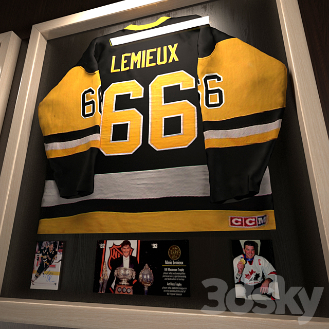 Hockey jerseys NHL stars 3DSMax File - thumbnail 2