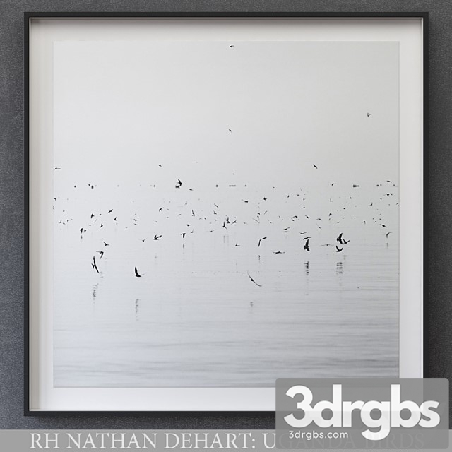 Nathan Dehart Uganda Birds 3dsmax Download - thumbnail 1