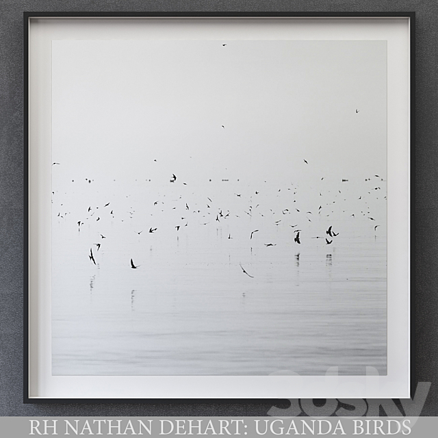 NATHAN DEHART UGANDA BIRDS 3DSMax File - thumbnail 1