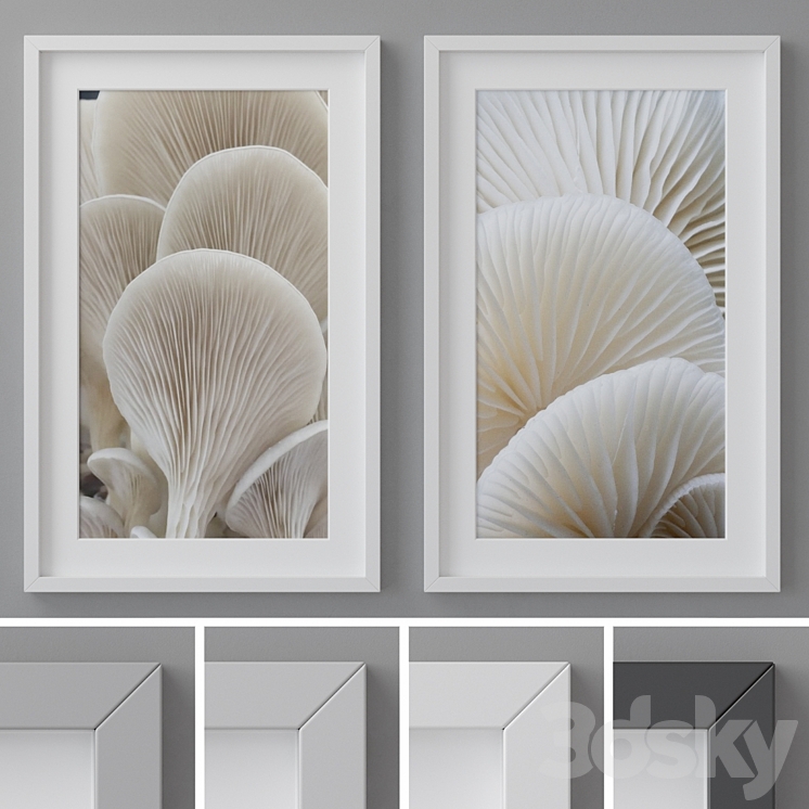 Photo Frames Set 260 3DS Max - thumbnail 1