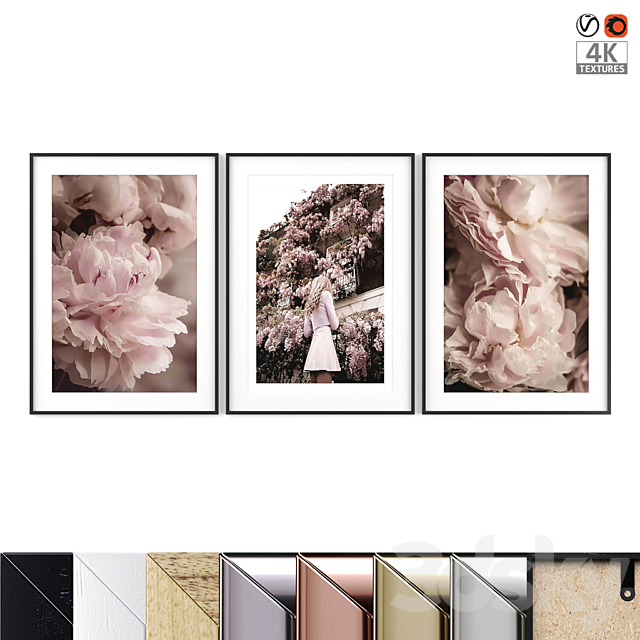 Poster Set “Blooming Peony” 3DSMax File - thumbnail 1