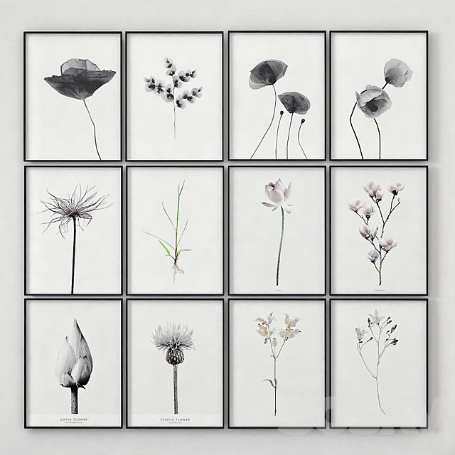 Posters with images of plants 3ds Max - thumbnail 1