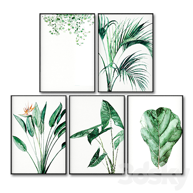 Posters with leaves of tropical plants. 3DSMax File - thumbnail 1