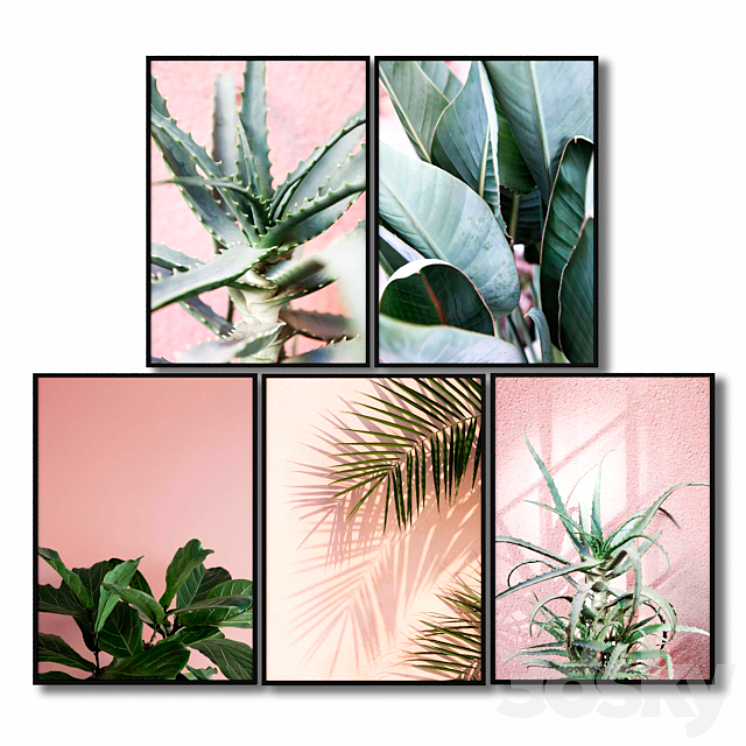 Posters with pink plants. 3DS Max - thumbnail 1