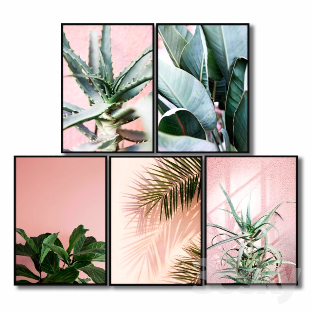 Posters with pink plants. 3DS Max - thumbnail 3