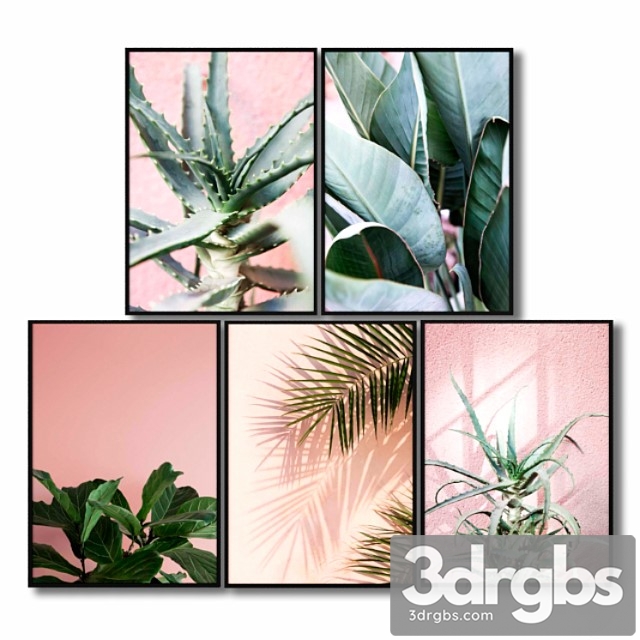 Posters with pink plants. 3dsmax Download - thumbnail 1