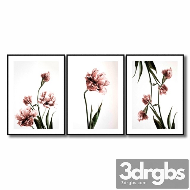 Posters with pink tulips. 3dsmax Download - thumbnail 1