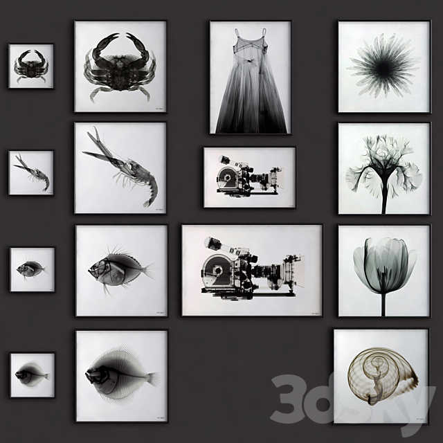 RH Nick Veasey X-RAY photography set 3DSMax File - thumbnail 2