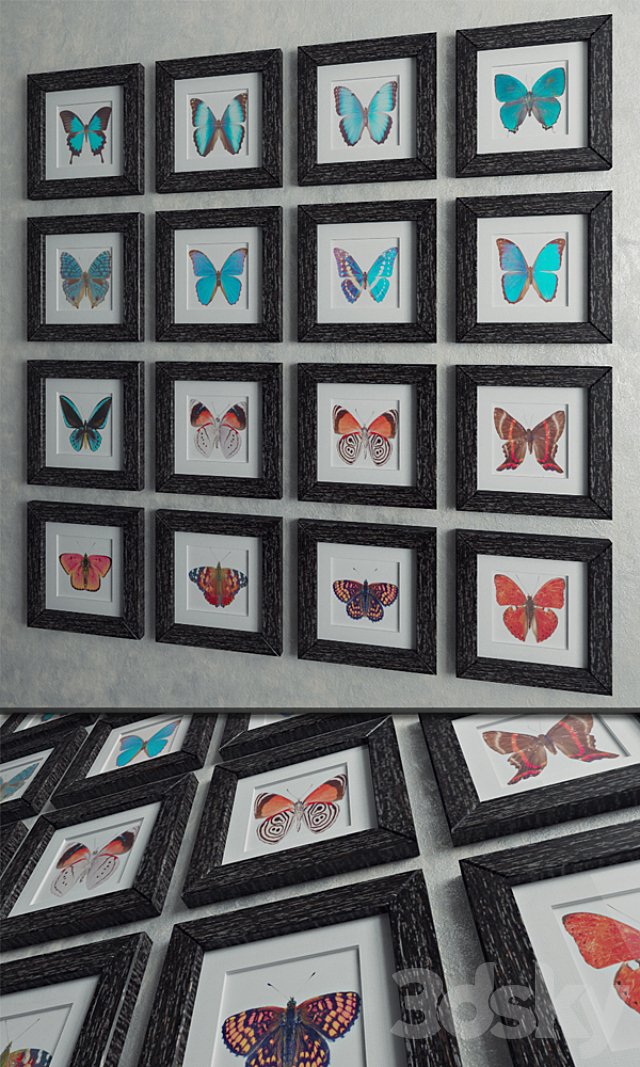 Set “Butterfly” 3DSMax File - thumbnail 1