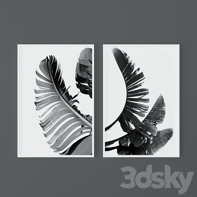 Set of black and white tropical prints 3ds Max - thumbnail 1