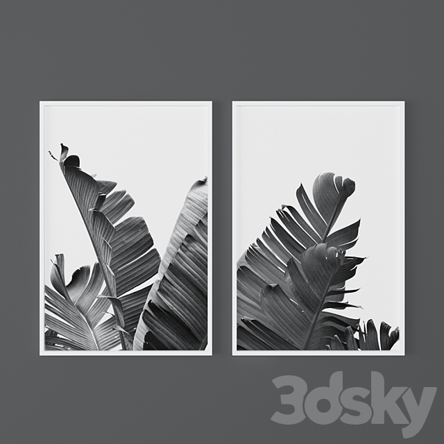 Set of black and white tropical prints 3ds Max - thumbnail 2